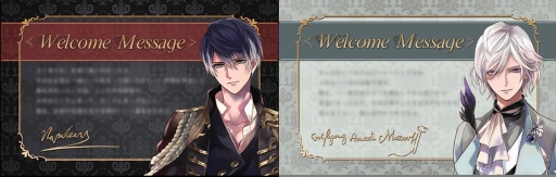 ꡼ No.008Υͥ / ֥ѥסѥեǤΥܤ111곫