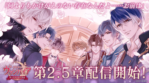 ���������꡼ No.001�Υ���ͥ������ / �֥�����������ѥ�������2.5�Ϥ��ۿ���������