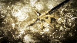 ���������꡼ No.002�Υ���ͥ������ / �֥饸����ȥҥ��ȥꥢ �ѡ��ե����ȥ����Υ������ס�A-1 Pictures����ˤ��OP���˥᡼����󤬸��������������ɥڡ��������������ץ�