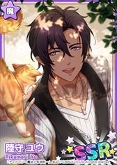 ꡼ No.005 | ֥ǥޥסॷƥ䥬쿷緿åץǡȤ»