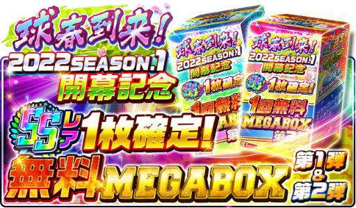 ꡼ No.003Υͥ / ֥ץСפ2022 SEASON.1