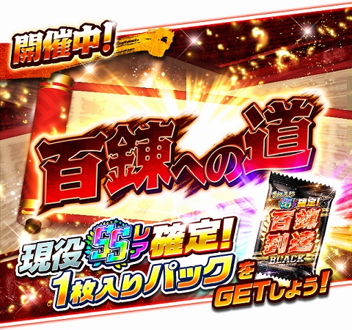 ꡼ No.004Υͥ / ֥ץСסSS쥢̵Ǽ5.5 Anniversary ڡɤ򳫺