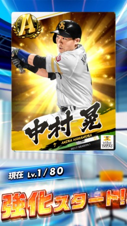 �ץ����С�����