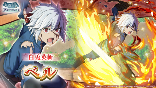 ꡼ No.008 | ֥סɲɤ򳫺š˥ϢưƱѻ¡ɤ2330˳