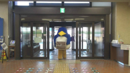 ꡼ No.003 | äܰ13ǡ֥ϥ˥פ¶ץ쥤