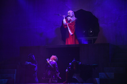 画像ギャラリー No.025のサムネイル画像 / ついに開幕,「ロマンシング サガ THE STAGE 〜ロアーヌが燃える日〜」ゲネプロレポート