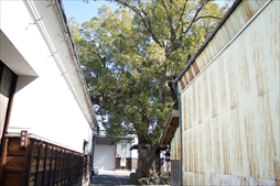 画像ギャラリー No.024のサムネイル画像 / 街探索型観光GPSゲーム「2116 feel and color 〜それでもここにいる理由〜」，体験レポートが公開に