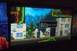 ꡼ No.020Υͥ / TGSľ˳Ť줿indie MEGASHOW TokyoץݡȡꥫΡοƮʲˡפŸ