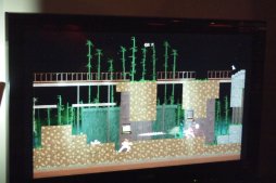 ꡼ No.022Υͥ / TGSľ˳Ť줿indie MEGASHOW TokyoץݡȡꥫΡοƮʲˡפŸ