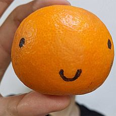 ꡼ No.005 | ֥쥤󥰥롼סץݥåץåץȥξܺ٤ȯɽǤ򤭥٥ȤⳫš121315ϻͽ