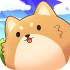 �ѥå�����