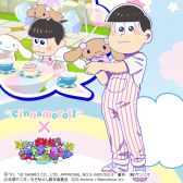 ꡼ No.006 | ֤޾סʥȤΥܤšǥо