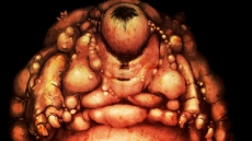 ꡼ No.023 | ε07᤬ʥꥪôۥ顼ADVֽɱ --סʤ襤Ҥ ޤĤˤ2017ǯ720ȯ