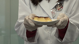 画像ギャラリー No.004のサムネイル画像 / 「閃乱カグラ」のNintendo Switch向けタイトル「シノビリフレ」が開発中。HD振動を活用した内容に