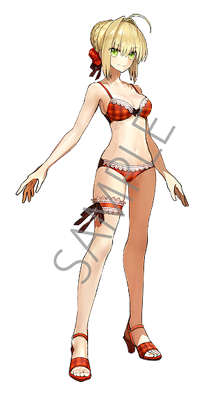 ꡼ No.005 | Nintendo SwitchǡFate/EXTELLAפͽդȡŹ̹ŵμ»ˡͤȻѥ饹Ȥ