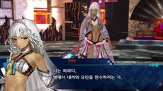 ���������꡼ No.015�Υ���ͥ������ / Nintendo Switch�ǡ�Fate/EXTELLA�פ�����ȯ�䡣�֤���ݤ� �����������ݤ��äȡ��פȤΥ���ܤ��轵��������