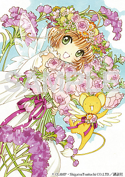 ꡼ No.003 | ֥եȥ  סߡCC ꥢԡץܵǰ֥ܤ򥹥硪ڡפ