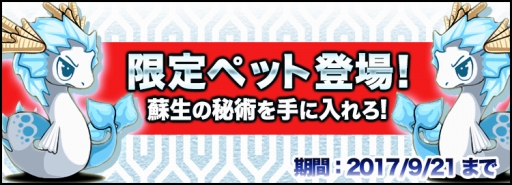 ꡼ No.002 | ֥ץȥɡסǽϤä֥ɡפꥬо