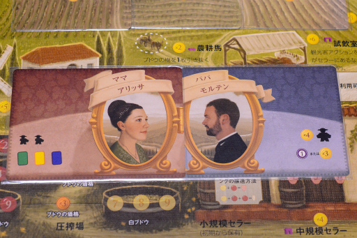 ꡼ No.045Υͥ / ȤΥܥɥ 3󡧥֥ɥƥ磻磻ʥ꡼бĥ֥磻ʥ꡼λ͵