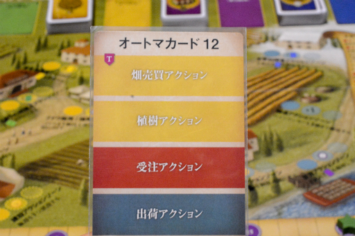 ꡼ No.051Υͥ / ȤΥܥɥ 3󡧥֥ɥƥ磻磻ʥ꡼бĥ֥磻ʥ꡼λ͵