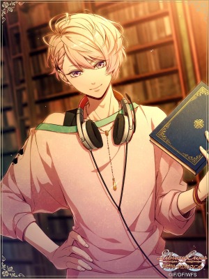 ���������꡼ No.003�Υ���ͥ������ / �֥饤�֥�꡼����������ե��˥åȡס��ٺ���Υᥤ�󥹥ȡ��꡼���ۿ�����