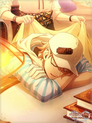 ���������꡼ No.005�Υ���ͥ������ / �֥饤�֥�꡼����������ե��˥åȡס��ٺ���Υᥤ�󥹥ȡ��꡼���ۿ�����