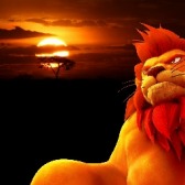 ꡼ No.012Υͥ / ֥NET MJ Arcadeפ425˲Ưϡ8̾Υץˤжư