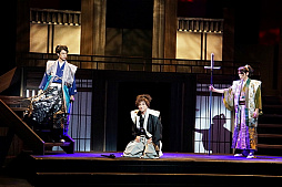 ꡼ No.014 | ֿĹ˾ --  ԡץͥץݡȡĹԷȤ괬𾭤ʤŪʥɥ