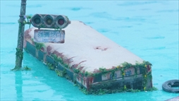 ꡼ No.005 | ֥󥭥סͥޥƥåȥ졼顼Υᥤ󥰱