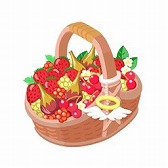 ꡼ No.007 | ֥åˡΥ쥷 ס֥إ󥫥եפȤΥܴ褬427»