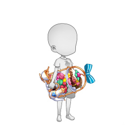 ���������꡼ No.002�Υ���ͥ������ / �֥��Х����ᥤ�ȡפˤơ��Ի׵Ĥʹ�Τդ����ʥ��Х��ɤ��»���