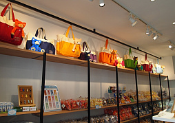 ꡼ No.002 | ֤Ρץ󥹤ޤâפΥ󥻥ץȥåסSHINING STOREפǯ⥪ץ󡣿ͧãPRINCE CATפİŸ줿Ź̿ǾҲ