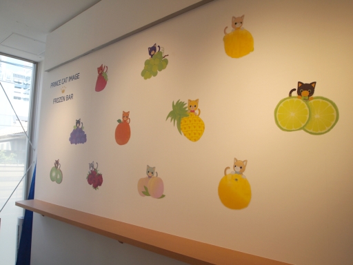 ꡼ No.017 | ֤Ρץ󥹤ޤâפΥ󥻥ץȥåסSHINING STOREפǯ⥪ץ󡣿ͧãPRINCE CATפİŸ줿Ź̿ǾҲ