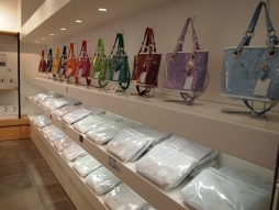 ꡼ No.005 | ֤Ρץ󥹤ޤâפΥ󥻥ץȥåסSHINING STOREפ4623缡šŹݡ