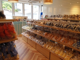 ꡼ No.024 | ֤Ρץ󥹤ޤâפΥ󥻥ץȥåסSHINING STOREפ4623缡šŹݡ