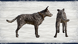 ꡼ No.019 | ֥ե饤5סܸդ롼ȥ쥤顼ȡѡȥʡ3Υץ쥬ɤ