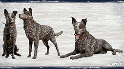 ꡼ No.020 | ֥ե饤5סܸդ롼ȥ쥤顼ȡѡȥʡ3Υץ쥬ɤ