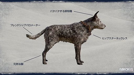 ꡼ No.021 | ֥ե饤5סܸդ롼ȥ쥤顼ȡѡȥʡ3Υץ쥬ɤ