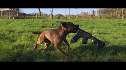 ���������꡼ No.003�Υ���ͥ������ / �֥ե������饤5�ס��֡��ޡ��˥ե������㡼�����ǿ��ȥ쥤�顼�֤ʤ꤭��֡��ޡ��פ��������ֲ椬�ȤΥ֡��ޡ��ϥ����ɥ븤�ץ����ڡ���Ⳬ��