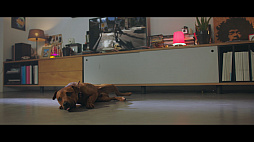 ���������꡼ No.004�Υ���ͥ������ / �֥ե������饤5�ס��֡��ޡ��˥ե������㡼�����ǿ��ȥ쥤�顼�֤ʤ꤭��֡��ޡ��פ��������ֲ椬�ȤΥ֡��ޡ��ϥ����ɥ븤�ץ����ڡ���Ⳬ��