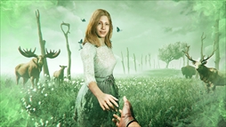 ꡼ No.005 | ֥ե饤5סȶġȥǥ󥺡ȡɤ륷ɥեߥ꡼˥ե㡼ȥ쥤顼