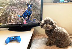 ���������꡼ No.004�Υ���ͥ������ / ���꡼���ǿ���֥ե������饤5�פ�����ȯ�䡣�����ɥ븤���֡��ޡ��ˤ��ʤ��Twitter�����ڡ��󤬥�������