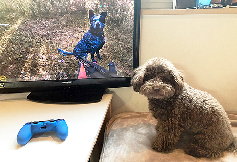 ���������꡼ No.010�Υ���ͥ������ / ���꡼���ǿ���֥ե������饤5�פ�����ȯ�䡣�����ɥ븤���֡��ޡ��ˤ��ʤ��Twitter�����ڡ��󤬥�������