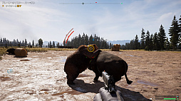 ꡼ No.029 | ֥ե饤5ץץ쥤ݡȡ˭ʥꥫļˤطʤˡĵƻΥȶĤ˽Ϥ˽Ϥȿ⤹Τ