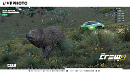 ꡼ No.012 | ƤΥץɥɥ饤֥֥ 롼2CBTݡȤϤĲ̵ԤӲڤ礭ʥݥƥ󥷥