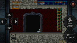 ꡼ No.007 | ̾Υޥǡ⳦¼ Хפۿ519ޤ66OFF120ߤǹǤ