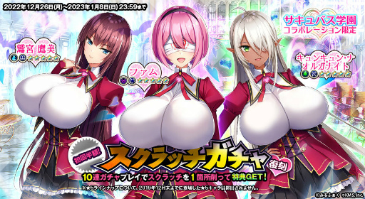 ꡼ No.008Υͥ / ֥ȥեƥסХرॳܤ