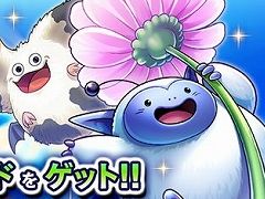 �֥ɥ饴�󥯥����ȥ饤�Х륺�ס�1��1��̵�������ɤ���館�륤�٥�Ȥ����š��Ƹ���Ρ֥��ޡ��꥾���ȥ����ɥѥå�������