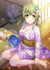 ꡼ No.003Υͥ / ֥ץɡ륺סURɡ2017ϡפƥåץåץо