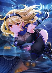 ���������꡼ No.010�Υ���ͥ������ / �֥ץ�������������ɡ��륺�ס�������SSR�����ɡȤ��ΰ�ɥ��꡼�����о�